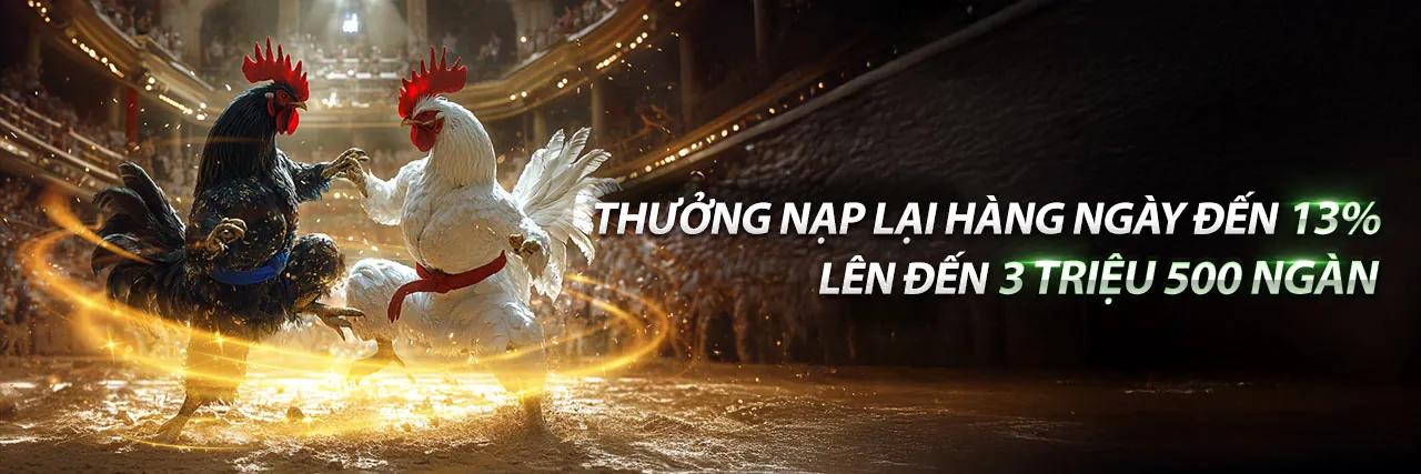 Đá Gà Trực Tuyến Hấp Dẫn tại 1xbetvi nhà cái